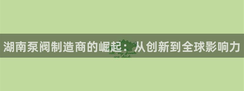 彩神ix可靠吗：湖南泵阀制造商的崛起：从创新到全球影响力