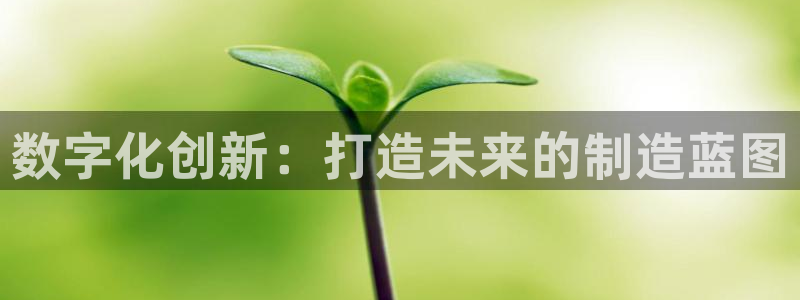 彩神购彩-购彩大厅入口下载：数字化创新：打造未来的制造蓝图