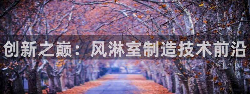 彩神v8平台正规吗：创新之巅：风淋室制造技术前沿