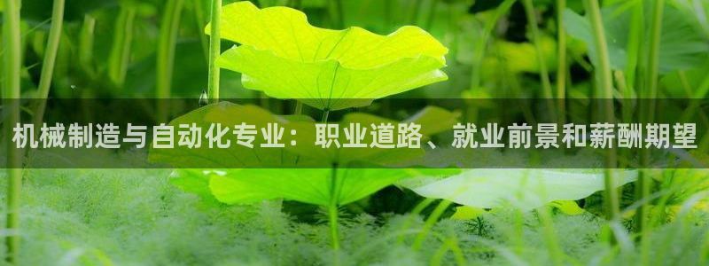 彩神v8是一个什么平台：机械制造与自动化专业：职业道路、就业前景和薪酬期望