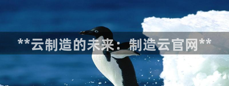 彩神的邀请码是多少：**云制造的未来：制造云官网**