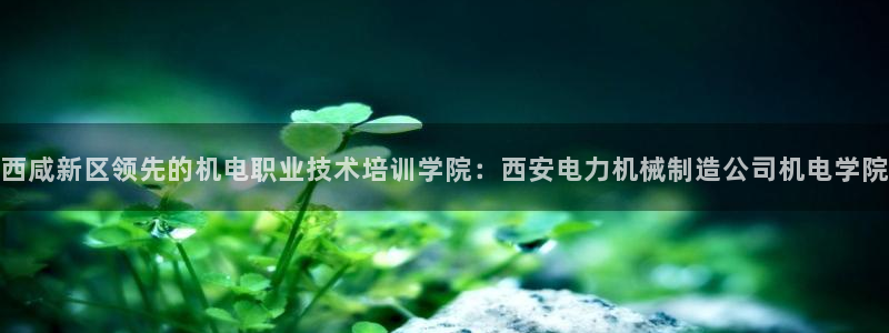 彩神v8手机客户端下载：西咸新区领先的机电职业技术培训学院：西安电力机械制造公司机电学院