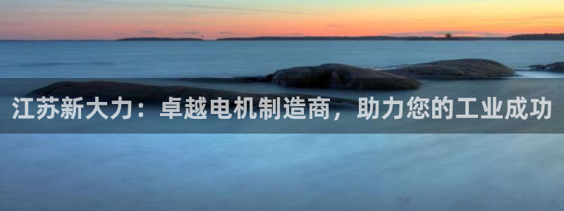彩神VII购彩中心：江苏新大力：卓越电机制造商，助力您的工业成功