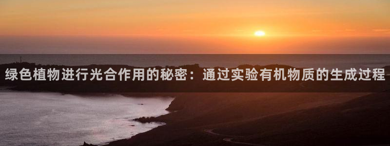 彩神争霸官方下载