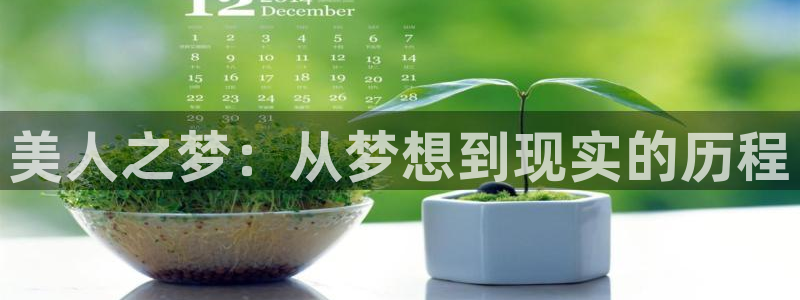 彩神Vll购彩大厅：美人之梦：从梦想到现实的历程