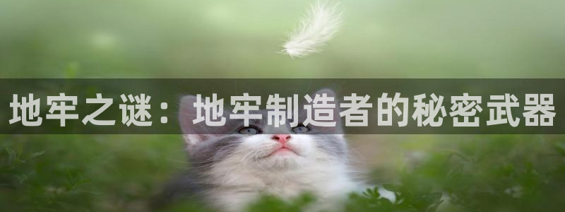 彩神ios下载：地牢之谜：地牢制造者的秘密武器