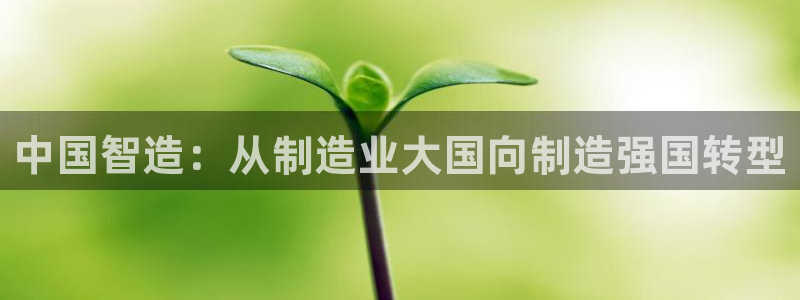 彩神天下专家专栏：中国智造：从制造业大国向制造强国转型