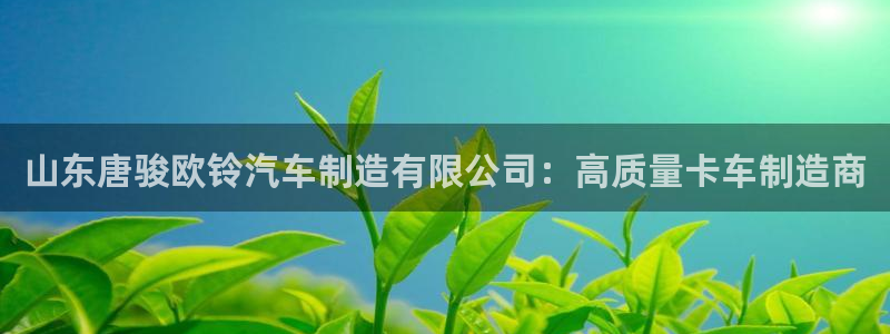 彩神是什么平台的游戏