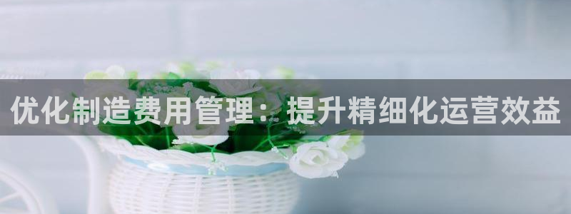 彩神v8下载：优化制造费用管理：提升精细化运营效益