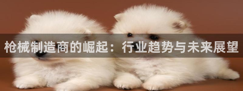 彩神vlll游戏特色:枪械制造商的崛起:行业趋势与未来展望 彩神vlll游戏特色:枪械制造商的崛起:行业趋势与未来展望